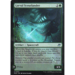 Larval Scoutlander Ingles Uncommun