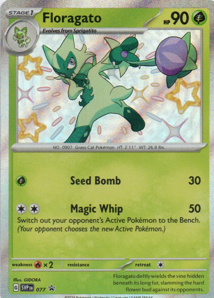 Floragato 77 Promo ingles