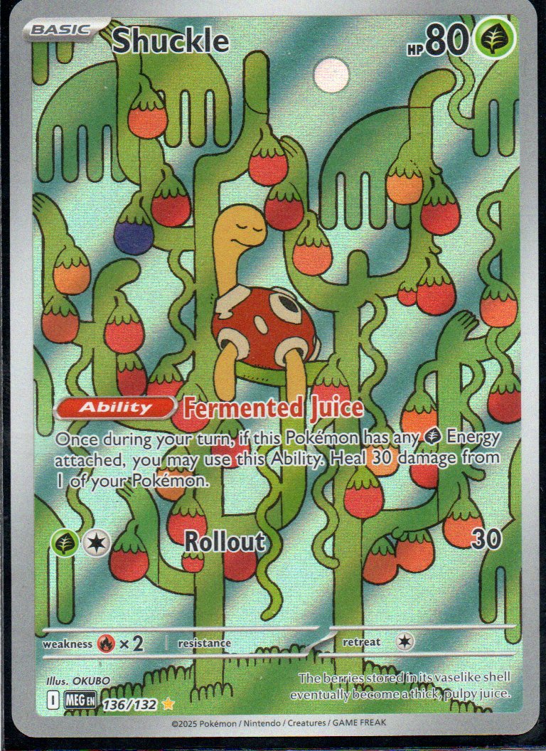 Shuckle 136 Illustration rare Ingles