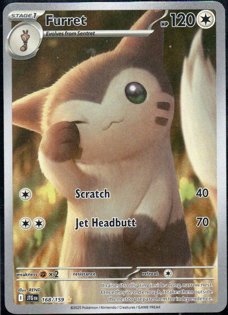 Furret 168 Illustration rare Ingles