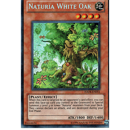 Naturia White Oak HA04-EN051 Secret rare