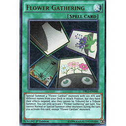 Flower Gathering DRL3-EN040 Ultra rare
