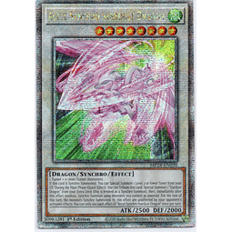 Accel Synchro Stardust Dragon MP24-EN030 Quarter rare