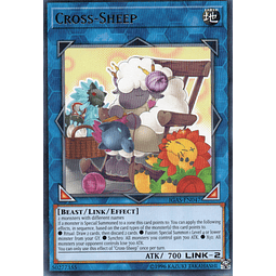 Cross-Sheep IGAS-EN047 Rare