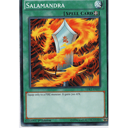 Salamandra LDK2-ENJ27 Commun