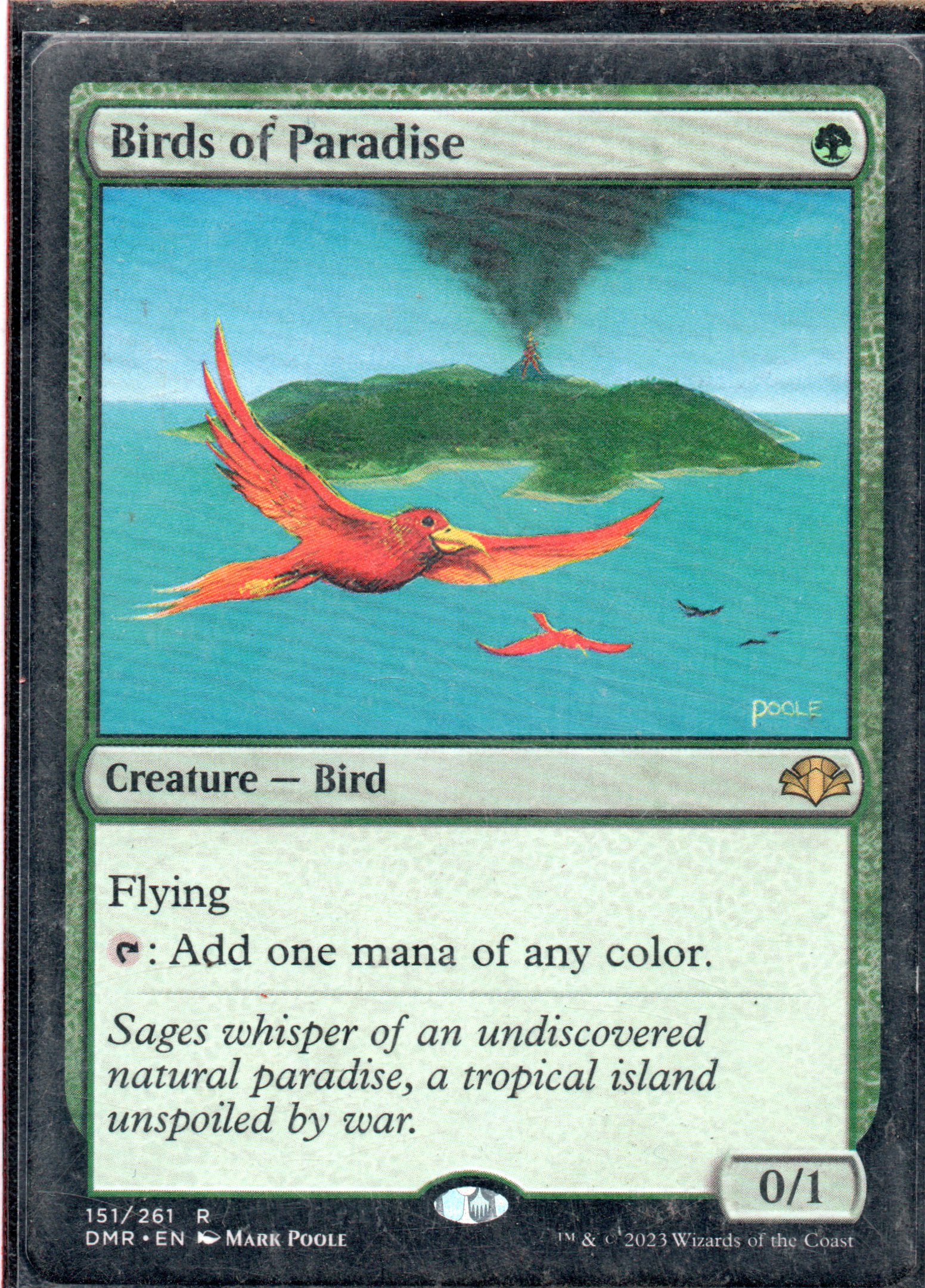 Birds of Paradise DMR 151 Rare