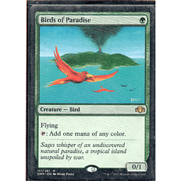 Birds of Paradise DMR 151 Rare