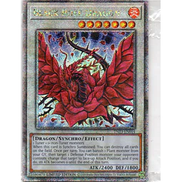 Black Rose Dragon TN23-EN014 Quarter rare