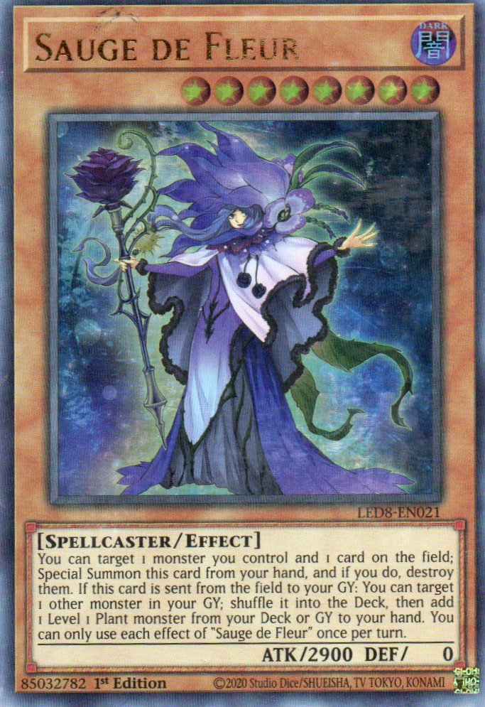 Sauge de Fleur LED8-EN021 Ultra rare