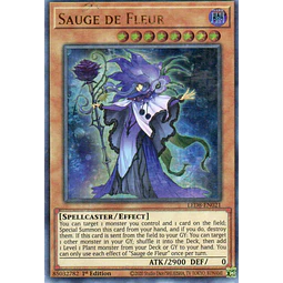 Sauge de Fleur LED8-EN021 Ultra rare