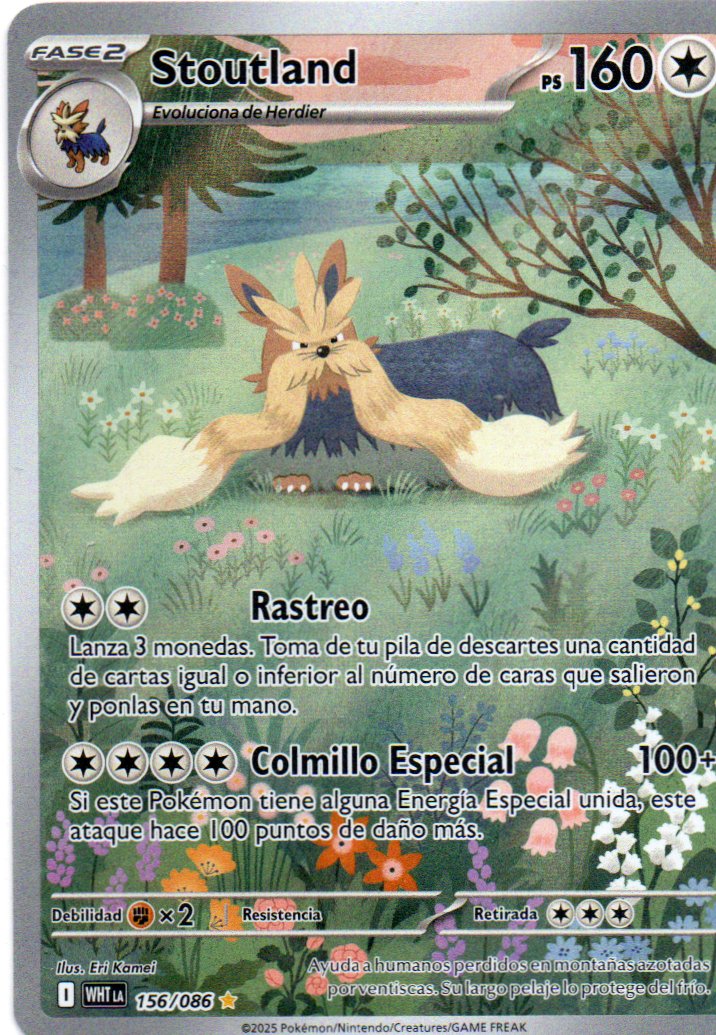 Stoutland 156 Illustration rare Español