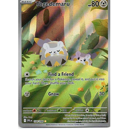 Togedemaru 104 Illustration rare Ingles