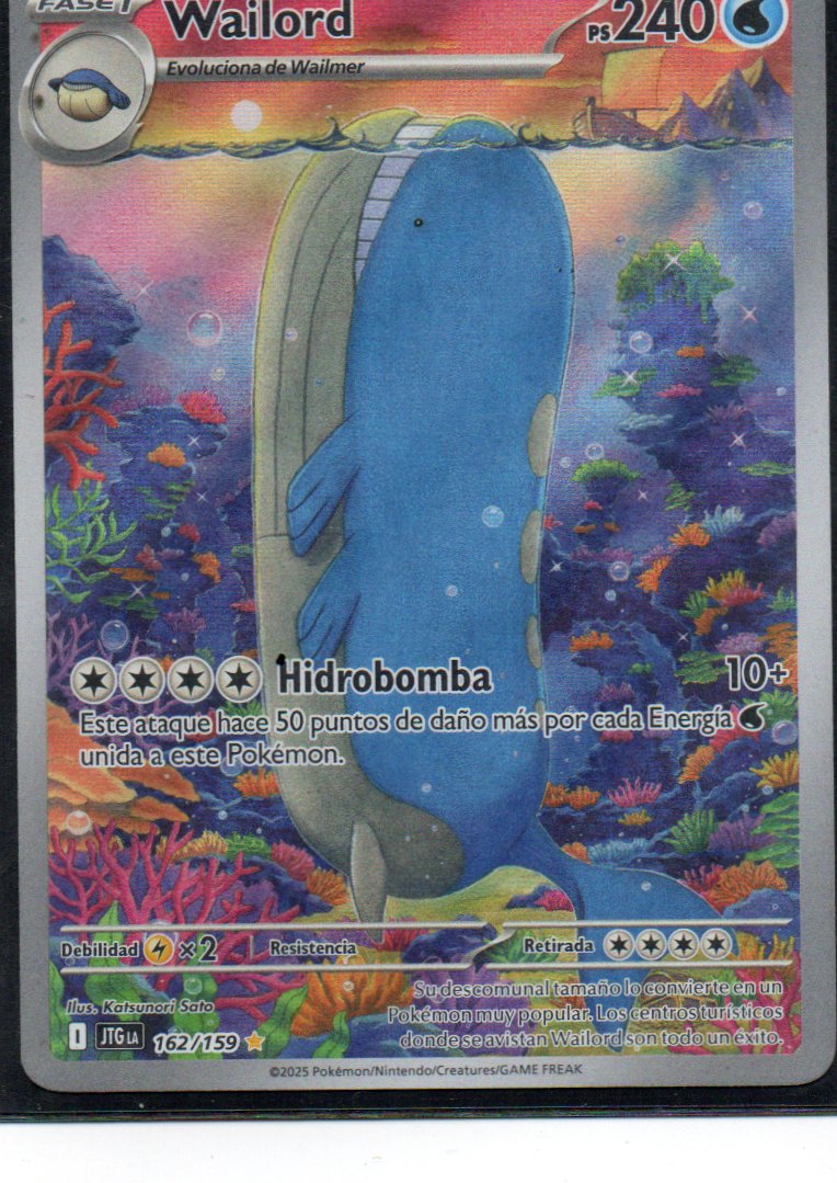 Wailord 162 Illustration rare Español