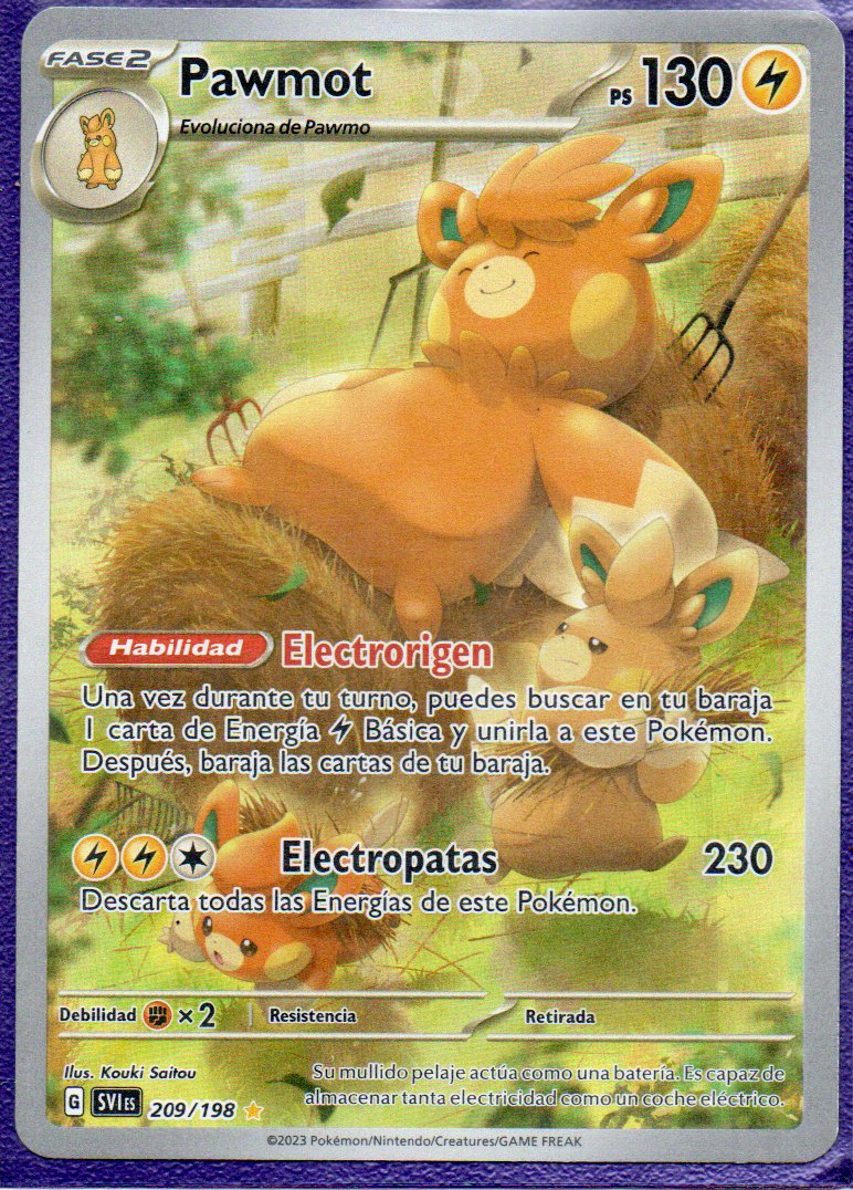 Pawmot 209 Illustration rare Español