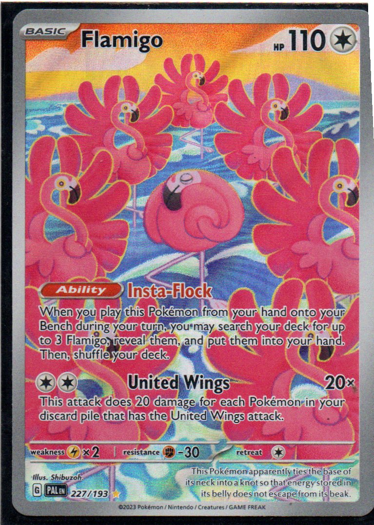 Flamigo 227 Illustration rare Ingles