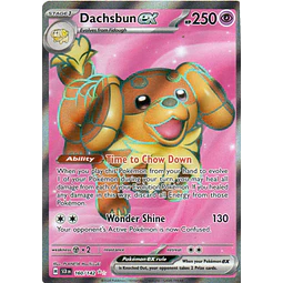 Dachsbun ex 160 ultra rare Ingles