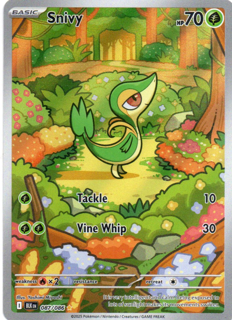 Snivy 87 Illustration rare Ingles