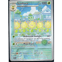 Sunflora 169 Illustration rare Ingles
