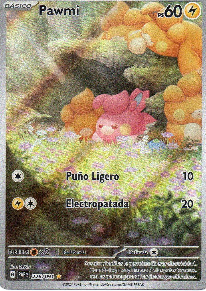 Pawmi 226 Illustration rare Español