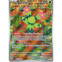 Maractus 160 Illustration rare Ingles
