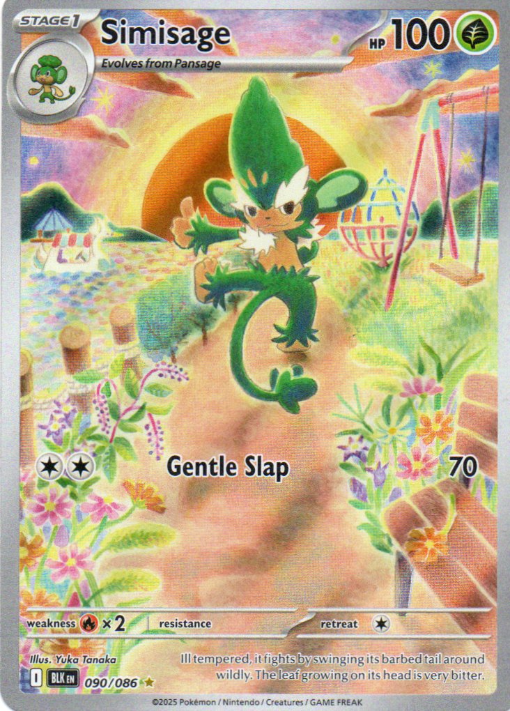 Simisage 90 ingles Illustration rare