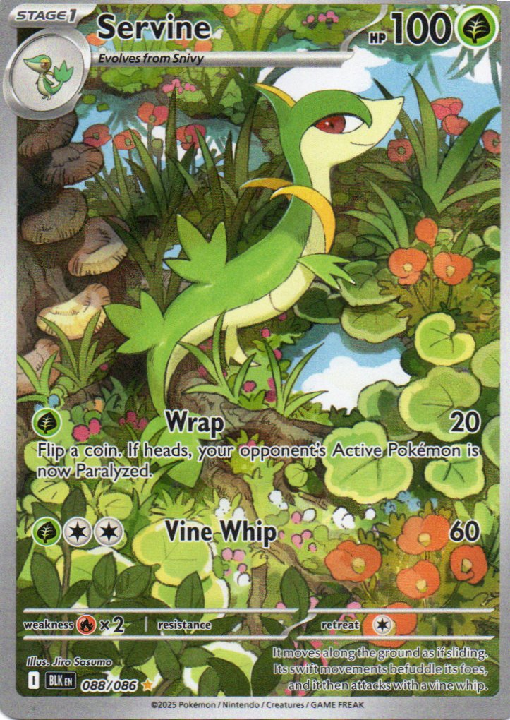 Servine 88 ingles Illustration rare