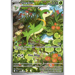 Servine 88 ingles Illustration rare