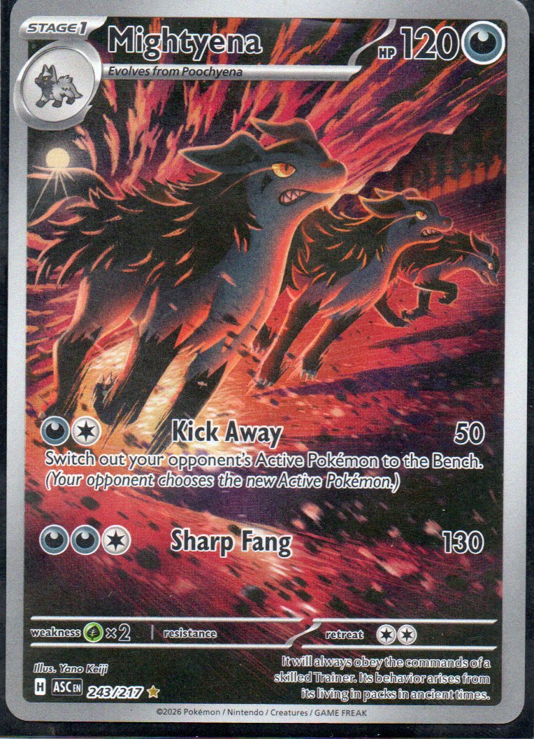 Mightyena 243 ingles Illustration rare