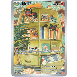 Litten 167 ingles Illustration rare