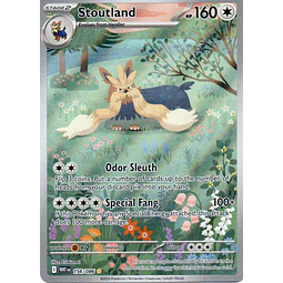 Stoutland 156 ingles Illustration rare