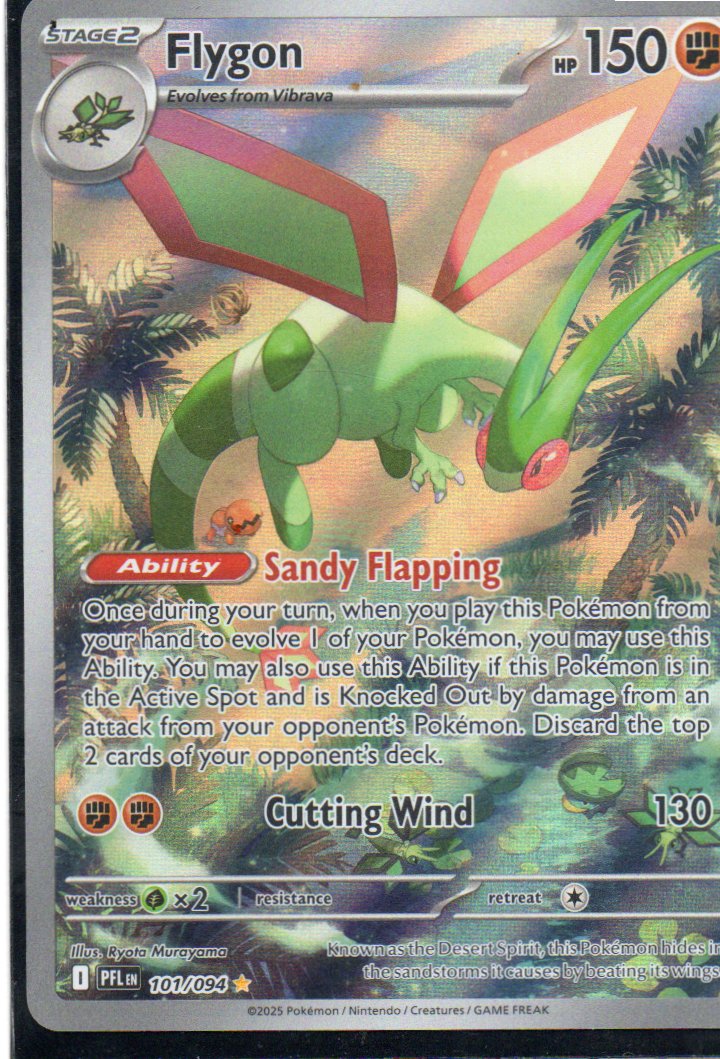 Flygon 101 ingles Illustration rare