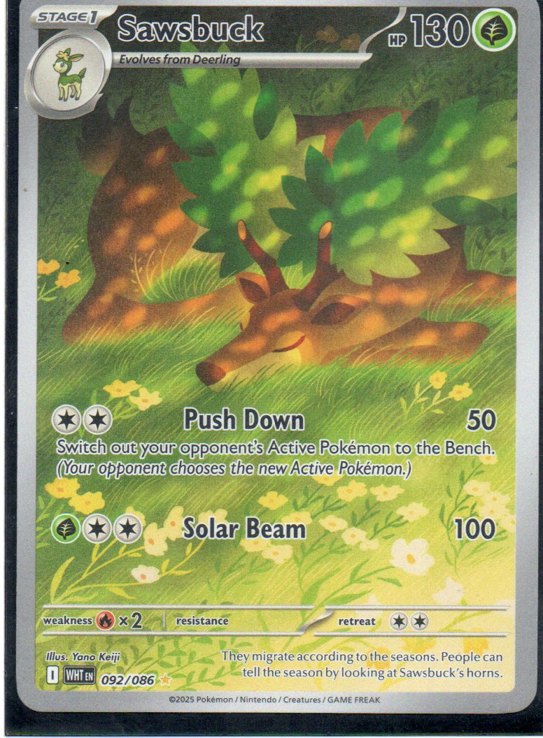 Sawsbuck 92 ingles Illustration rare