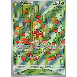 Shuckle 136 ingles Illustration rare