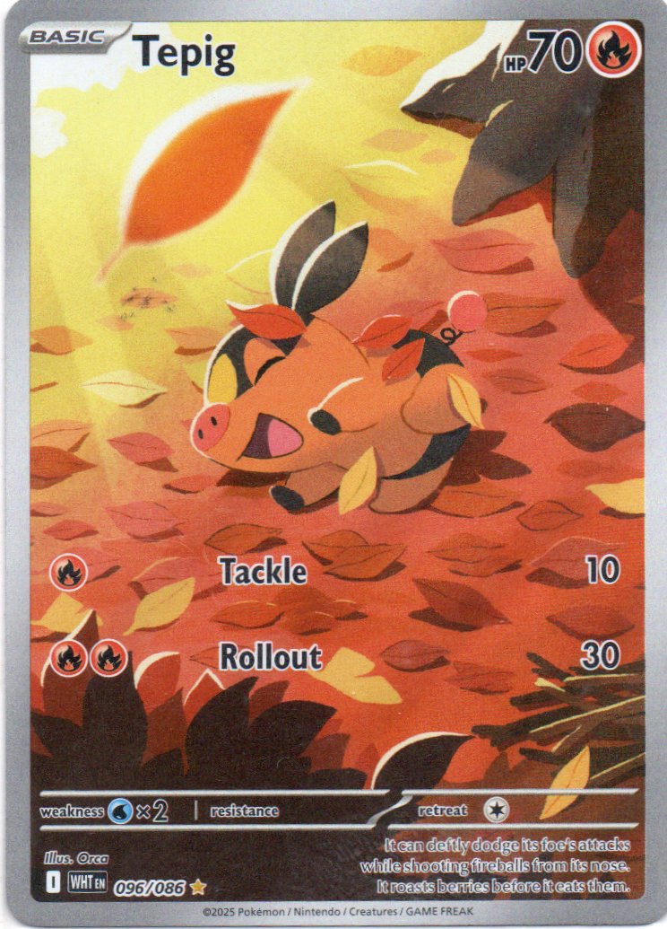 Tepig 96 ingles Illustration rare