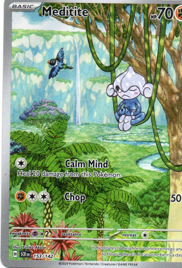 Meditite 153 ingles Illustration rare