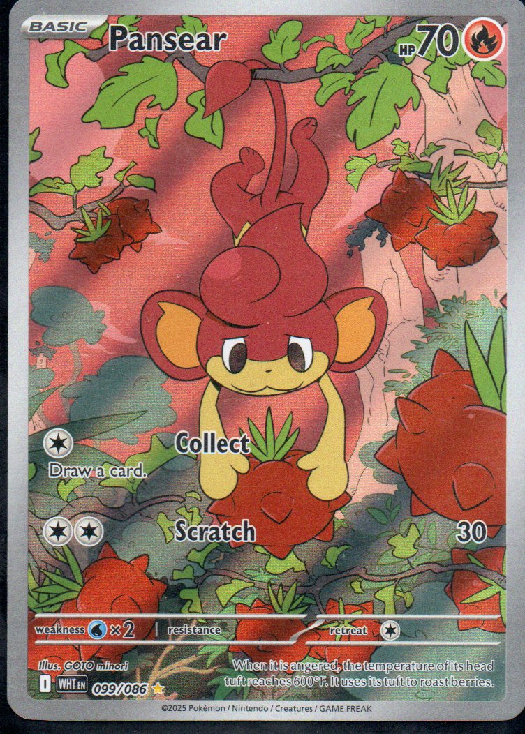 Pansear 99 ingles Illustration rare