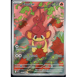 Pansear 99 ingles Illustration rare