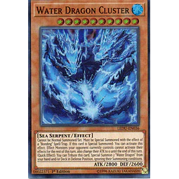 Water Dragon Cluster LEDU-EN036 Super rare