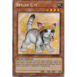 Rescue Cat RA02-EN001 platinum rare
