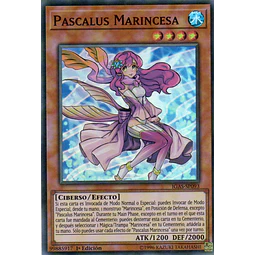 Pascalus Marincesa IGAS-SP093 Super rare
