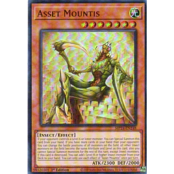 Asset Mountis MP24-EN248 Ultra rare