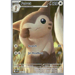 Furret JTG168 illustration rare Ingles