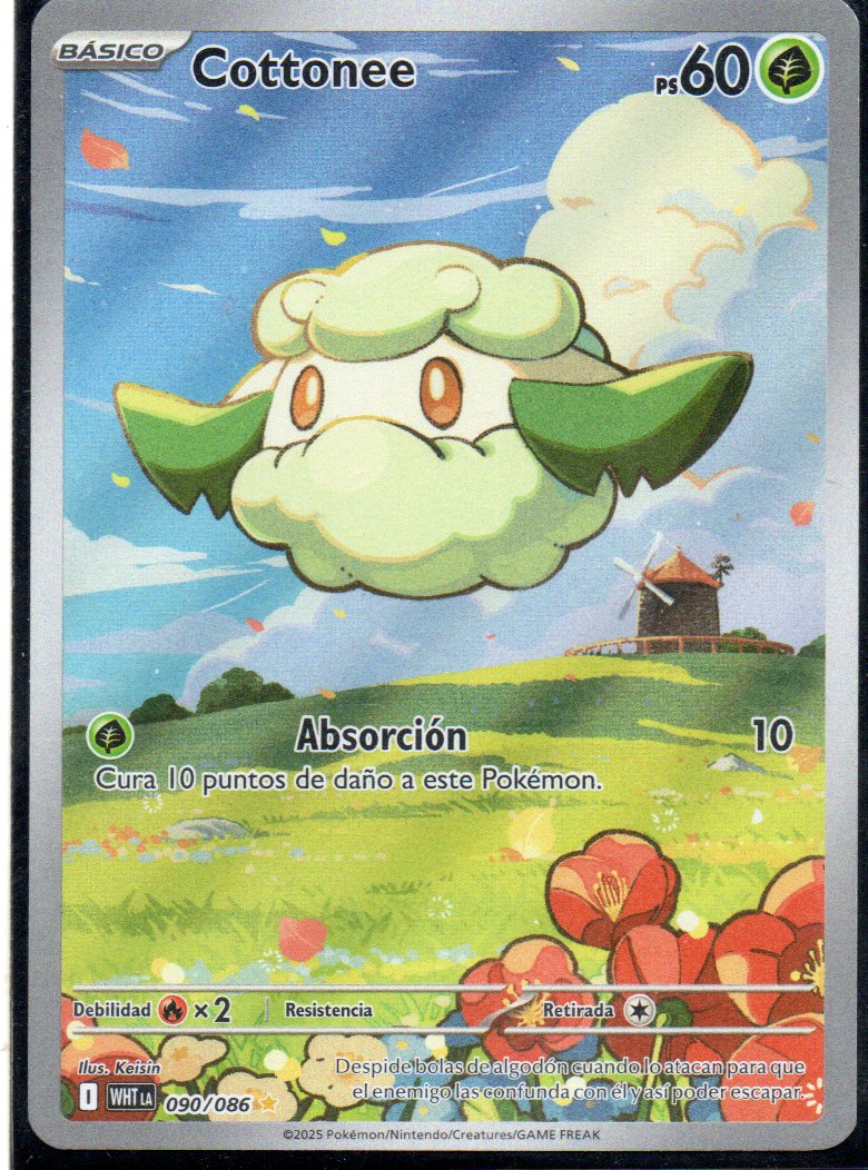 Cottonee  Illustration rare Español