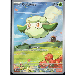 Cottonee  Illustration rare Español