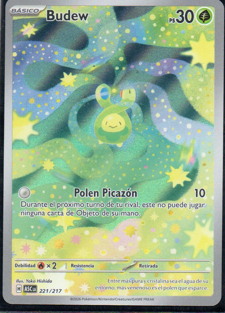 Budew  Illustration rare Español