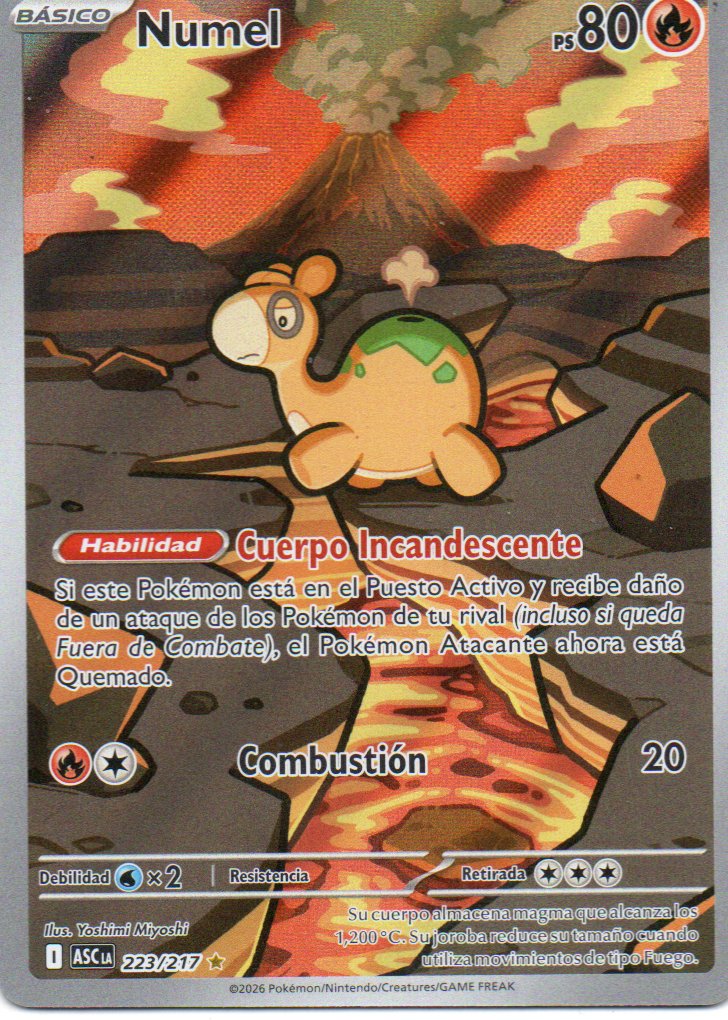 Numel  Illustration rare Español