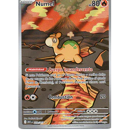 Numel  Illustration rare Español