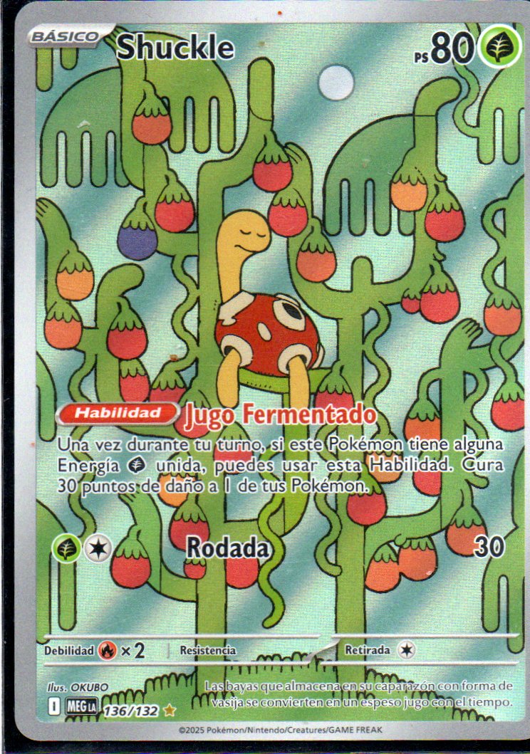 Shuckle  Illustration rare Español