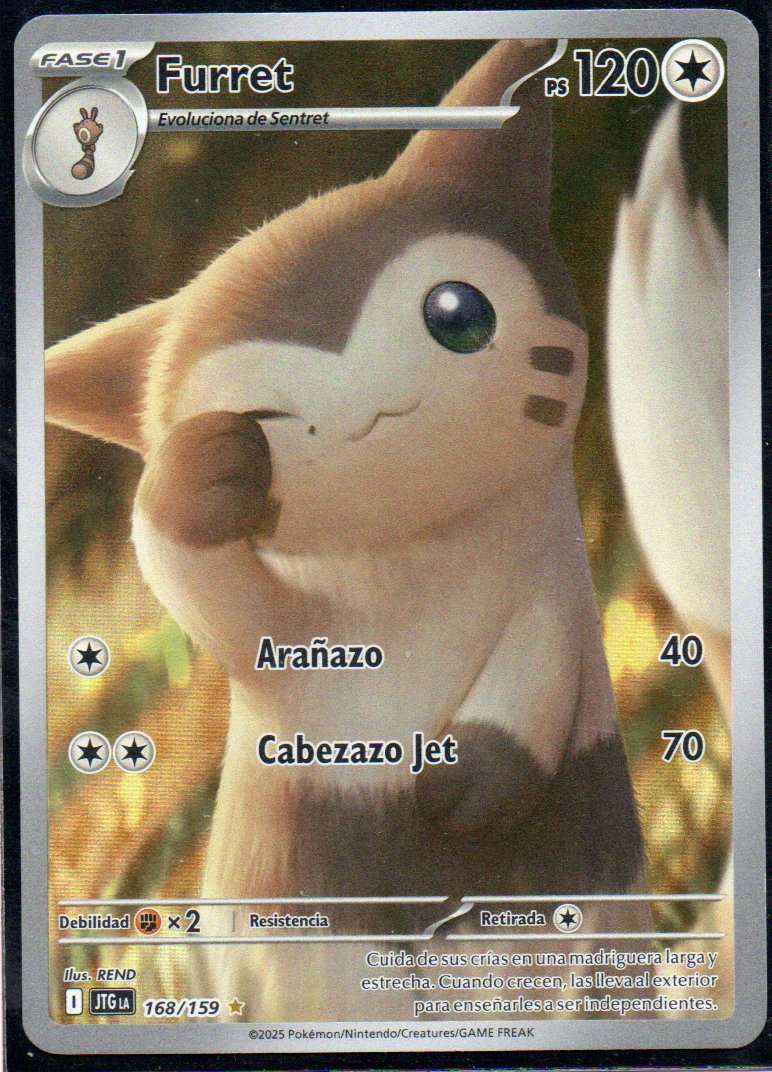 Furret  Illustration rare Español