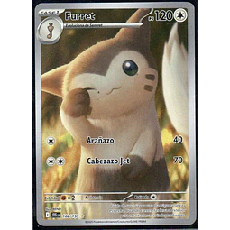 Furret  Illustration rare Español